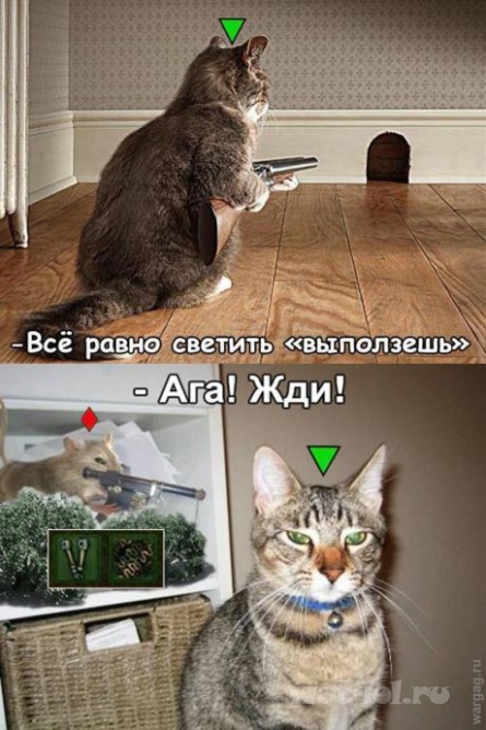 ���
